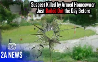 Suspect Killed by Armed Homeowner Just Bailed Out the Day Before