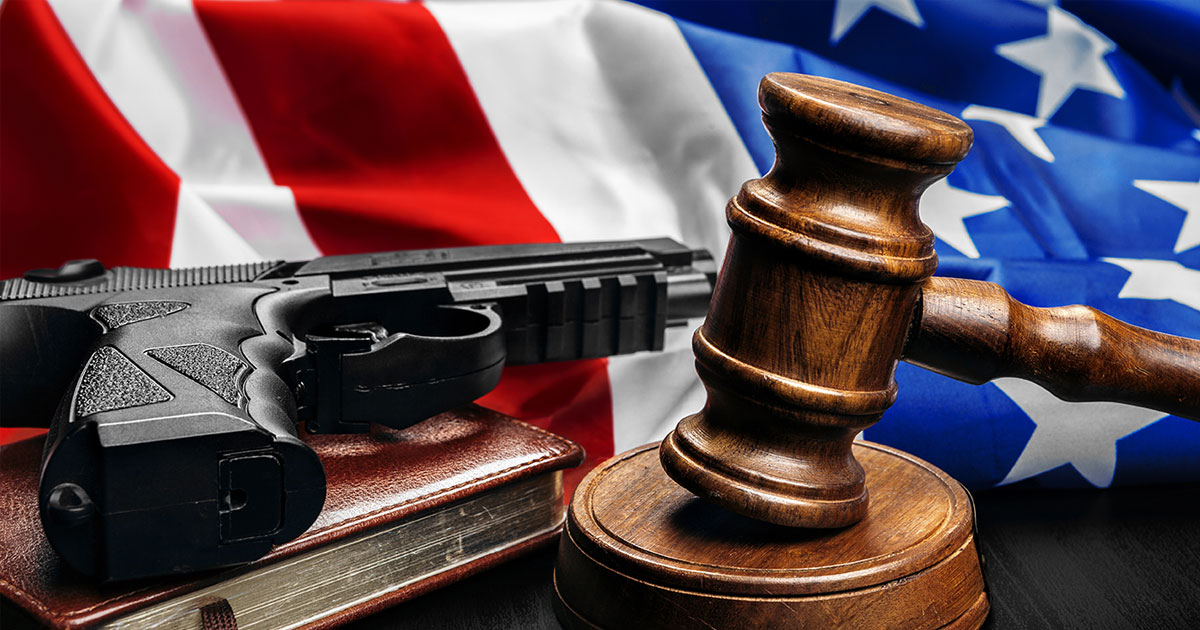 Radical Anti-Second Amendment Forces Want to Teach Gun Safety